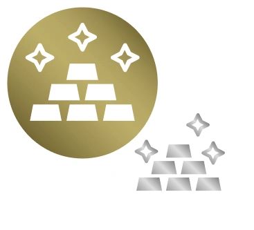 Münzen in diversen edelmetallen erhältlich Image